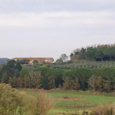 Agriturismo L'Isola Crespina Екстериор снимка