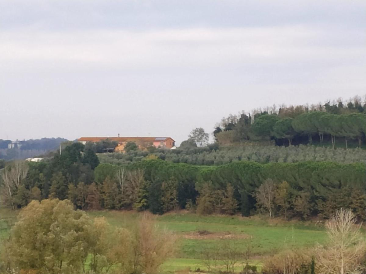 Agriturismo L'Isola Crespina Екстериор снимка