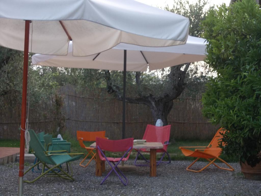 Agriturismo L'Isola Crespina Стая снимка