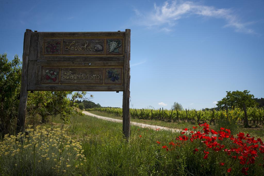 Agriturismo L'Isola Crespina Стая снимка