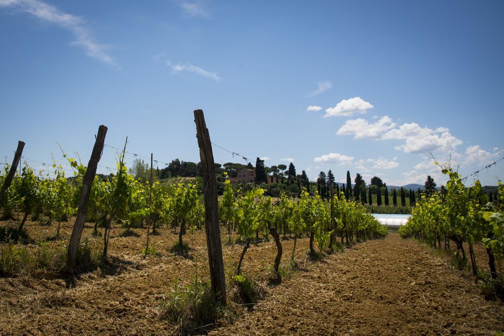 Agriturismo L'Isola Crespina Екстериор снимка