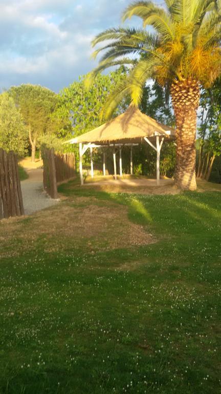 Agriturismo L'Isola Crespina Екстериор снимка
