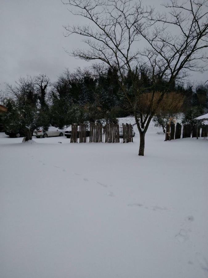 Agriturismo L'Isola Crespina Екстериор снимка